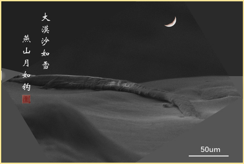 /_upload/article/images/6a/6e/55def26740c6adc464dbbee4c2f9/472907fa-6303-4211-8382-c853b2be23f5.png